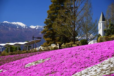 🌳 아카사카다이 종합공원 (드래곤 파크) 이미지 2